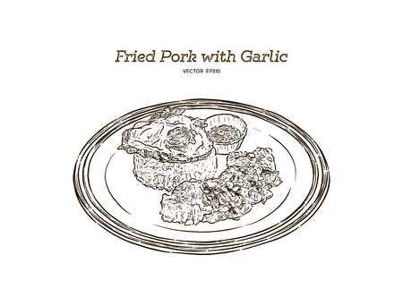 Fried Pork with Garlic, Pepper and fried egg on rice. Easy thai food. Hand draw sketch vector.のイラスト素材