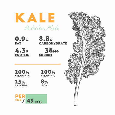 Nutrition facts of Kale, Hand draw sketch vector. Vegetable.のイラスト素材