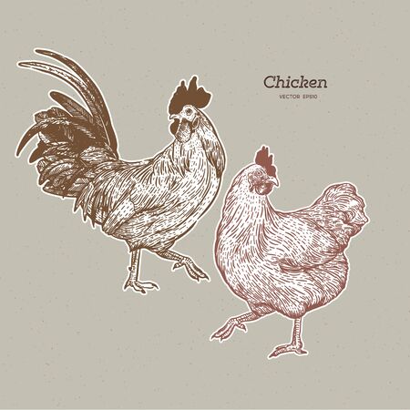 chicken collection, hand draw sketch vector.のイラスト素材