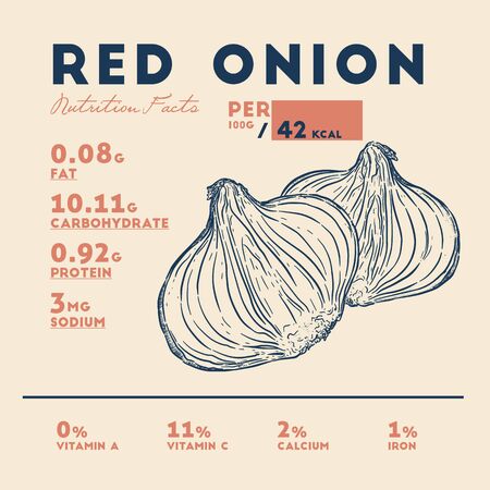Nutrition facts of red onion, hand draw sketch vector.のイラスト素材