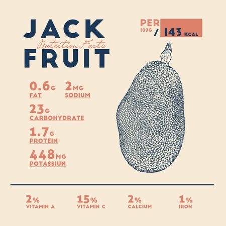 Nutrition facts of jackfruit, hand draw sketch vector.