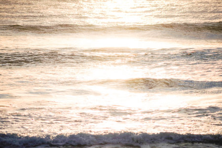 shineの写真素材