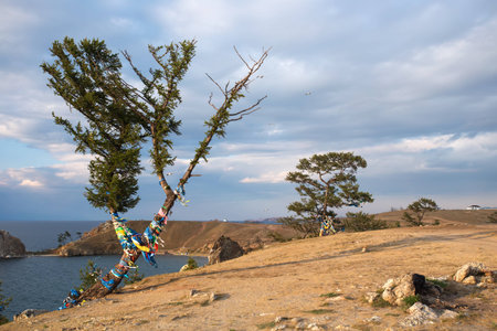 Baikal lake near Khuzhir villahe at Olkhon island in Siberia, Russia.の写真素材