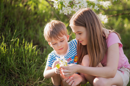 Kids are playing in blooming garden.の写真素材
