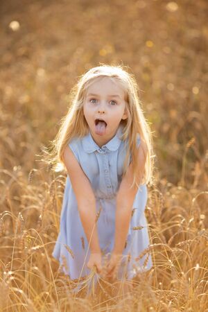 A little blonde girl is standing in a wheat field in summer with spikelets in her hands.の写真素材