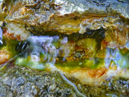 A close-up of the mineral water effluenting from apertures on rock in forest. Summer. Russian Far East, Primorye.の写真素材