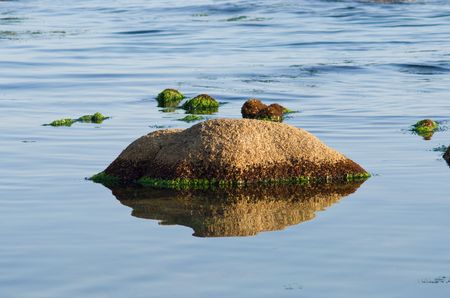 A close-up of the brown-red stones in seawater. Summer, early evening.