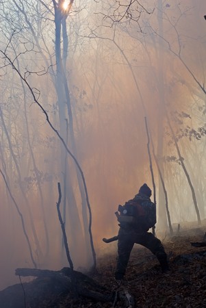 Suppression of forest fire by the inspector of protection of the state natural reserve Lazovsky....