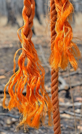 A close up of the old orange rope.
