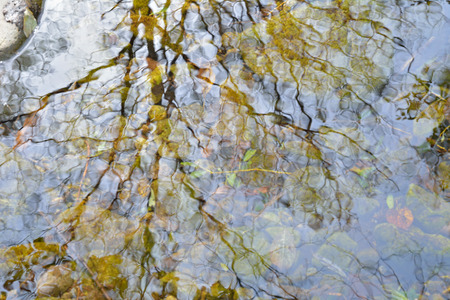 A blurred reflection of trees and sky on small woodsy river. Autumn.の写真素材