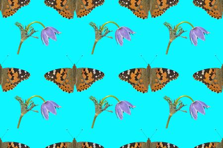 The vibrant butterfly (Vanessa cardui) and blue wildflower (Pulsatilla cernua). Seamless pattern on black background, own isolated photographs of the author of the pattern are used.の写真素材