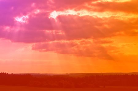 Shafts of Sunlightの写真素材