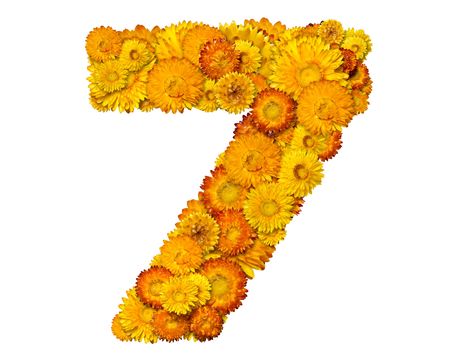 Number from alphabet from yellow and orange flowers. Isolated on white background. の写真素材