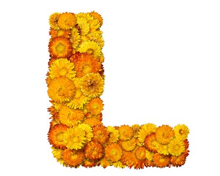 Letters from alphabet from yellow and orange flowers. Isolated on white background.の写真素材