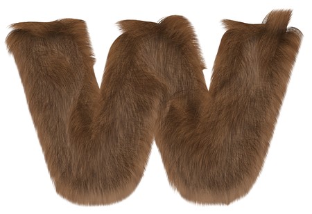 Letter from tiger style fur alphabet. Isolated on white background. With clipping path.の写真素材