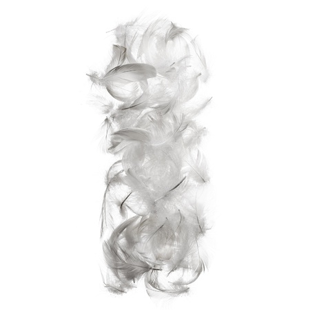 Alphabet of letters made from chiken feathers. Isolated on white backgroundの写真素材