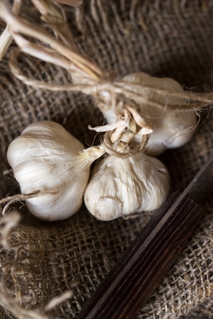 Vintage still life with garlic and knife on canvas. Shallow DOFの写真素材