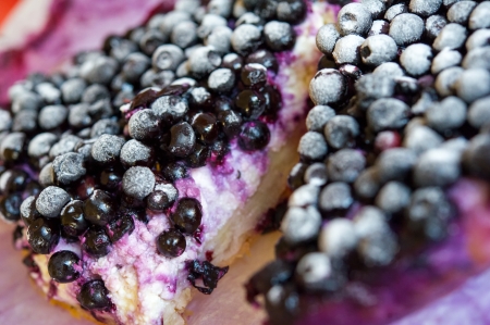 Close-up of Blueberry pie  Shallow DOF の写真素材