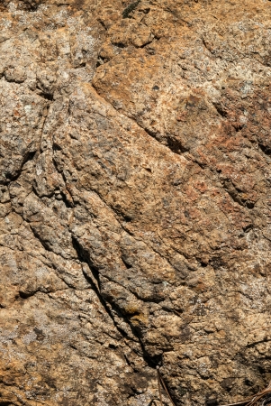 Surface of Textured stone background. Brown tintの写真素材