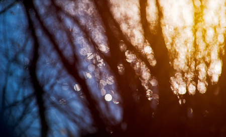 Abstract landscape background of defocused trees and river with bokeh effect
