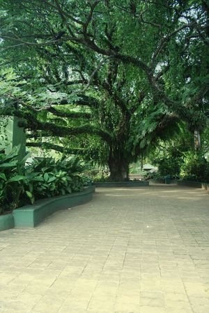Park -  with space for message