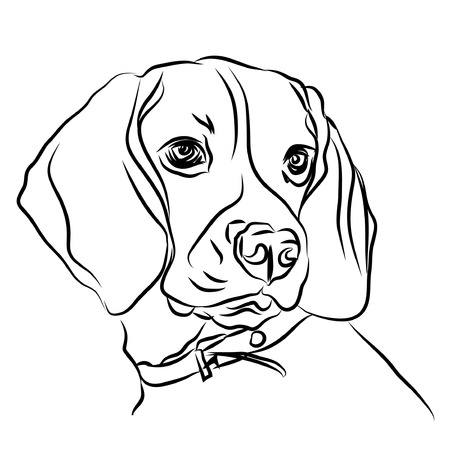 Portrait of a dog on white background . Symbol of the year 2018. Vector illustrationのイラスト素材