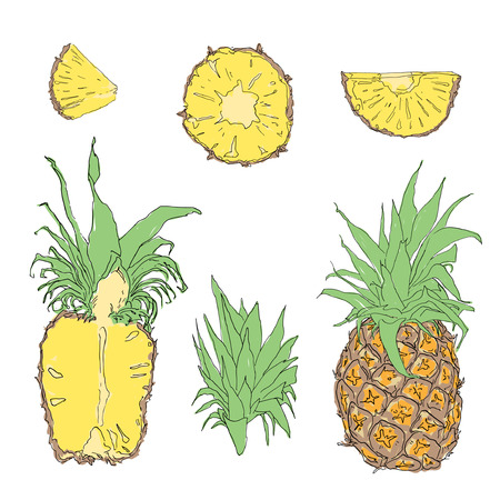 Pineapple in different cuts and slices flat design graphic elements.のイラスト素材