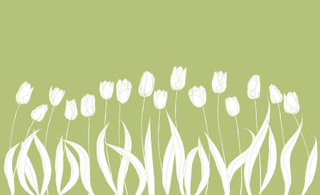 Horizontal background with hand-drawn tulips. Monochrome design for a poster, banner, poster or invitation. Vector illustration.のイラスト素材