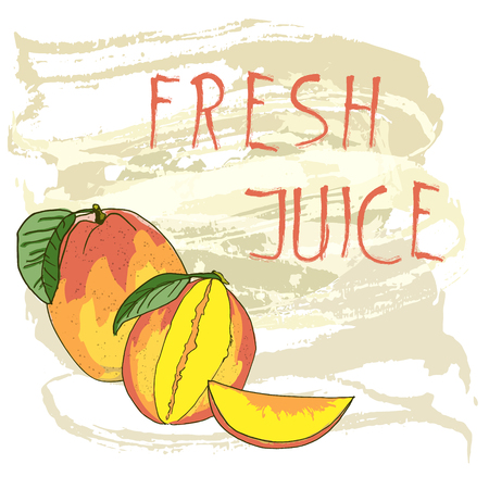 Fresh juice fruit background stain and spray. Vector illustrationのイラスト素材