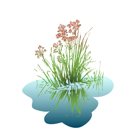 A flower with leaves is reflected in the water.  Hand drawn. Vector illustration.のイラスト素材