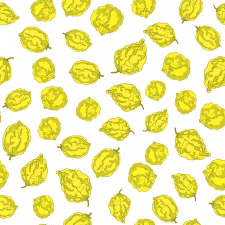 Happy Sukkot seamless pattern. Jewish holiday huts endless background. Repeated texture with citron fruits. Vector illustrationのイラスト素材
