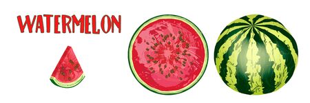 Realistic ripe whole watermelon, circle of ripe watermelon on white background. National Watermelon Day Design. Ideal for the design of packaging materials, organic farm products. Vectorのイラスト素材
