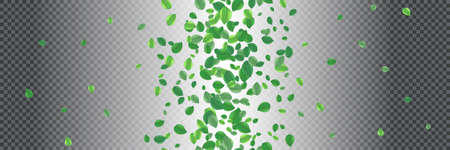 Seamless pattern beautiful flying green tea leaf isolated on transparent. Leaves spring background. Foliage nature plant for design, advertising, packaging products. Vector illustrationのイラスト素材