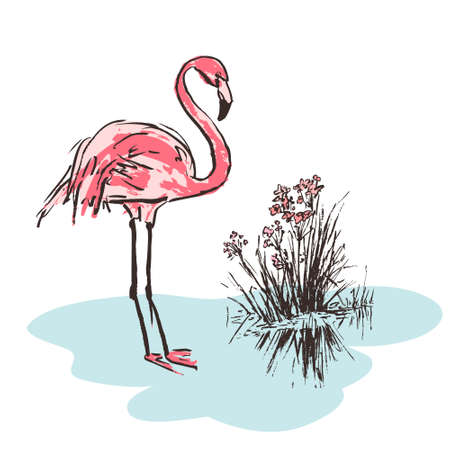 Sketch of pink flamingo bird. Bright cartoon tropical bird flamingo isolated on white background. Trendy summer design. Vector illustrationのイラスト素材