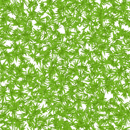 Seamless pattern with marijuana hemp leaves isolated on white. Hand drawn cannabis leaves. Marijuana Legalization. Template for textile, packaging materials, banner, web design. Vectorのイラスト素材