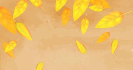 Pattern bright colorful autumn foliage isolated on white background. Graphic design autumn symbol. Red orange yellow dry autumn leaves. Autumn foliage seasonal background. Vector illustrationのイラスト素材