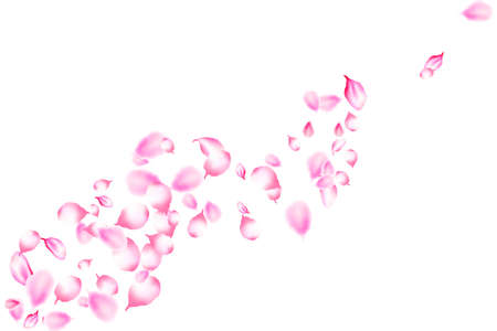 Realistic sakura flower petals. Falling beautiful pink sakura petals on white background. Vector pattern with japanese spring cherry blossom petals for valentines day, wedding, birthday, mother's dayのイラスト素材