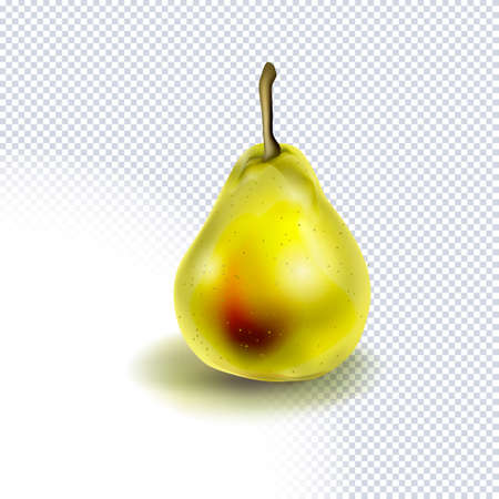 Realistic green pearl on transparent. Fresh sweet juicy fruit for healthy eating, diet. natural product. Vector for design organic food, drink, banner, poster, sticker, advertising materialのイラスト素材