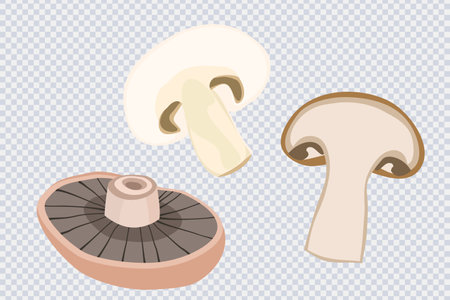 Whole mushroom. Mushroom cut into pieces isolated on transparent. Fresh organic vegetarian food. Great for menu, label, product packaging, recipe. Healthy and tasty food ideas. Vector illustrationのイラスト素材