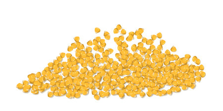 Corns seed. Pile of sweetcorn golden grains on white. Ripe yellow corn grains for planting and cultivation. Maize seeds, farm natural product. Great for menu, label, product packaging, recipe. Vectorのイラスト素材