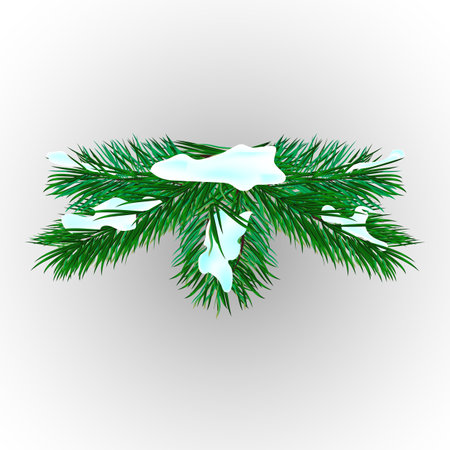 Green pine branch with snow, backgroundのイラスト素材