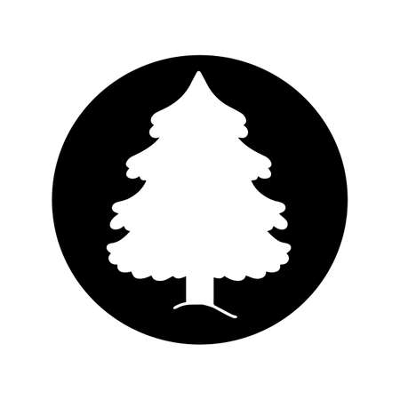 christmas pine  on white backgroundのイラスト素材