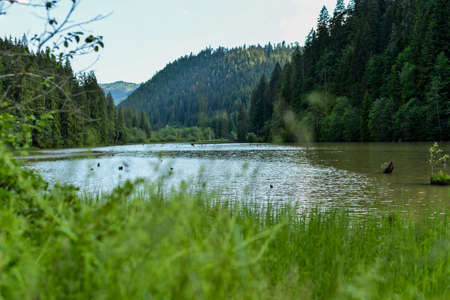 mountain landscape with lake and forestの写真素材