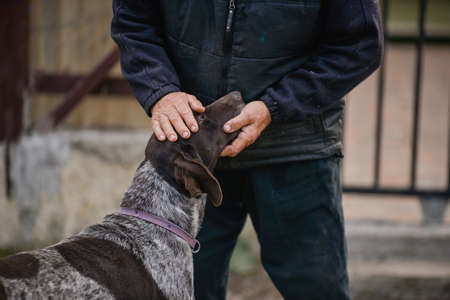 man smooths a dogの写真素材