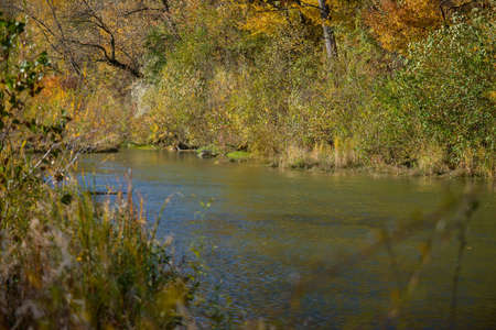 river in the autumnの写真素材