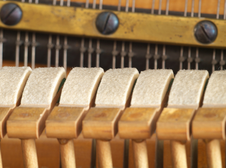Felt on piano hammers 