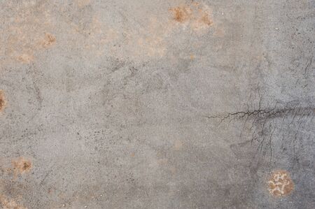 Texture of wood background closeup