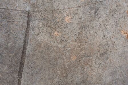 Texture of wood background closeup