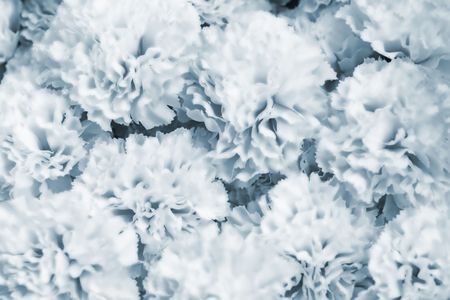 Flowers imitation(male variant), soft-focused and digitaly manipulated(to achieve abstractcy and add more gentle and softer look)の写真素材