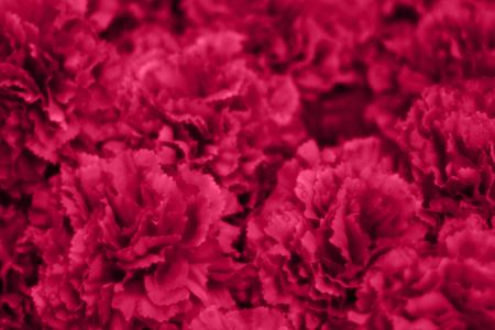 Flowers imitation(female variant), soft-focused and digitaly manipulated(to achieve abstractcy and add more gentle and softer look)の写真素材